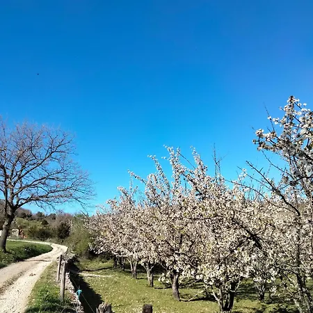 Vendégház La Grange De Sabatas 3*
