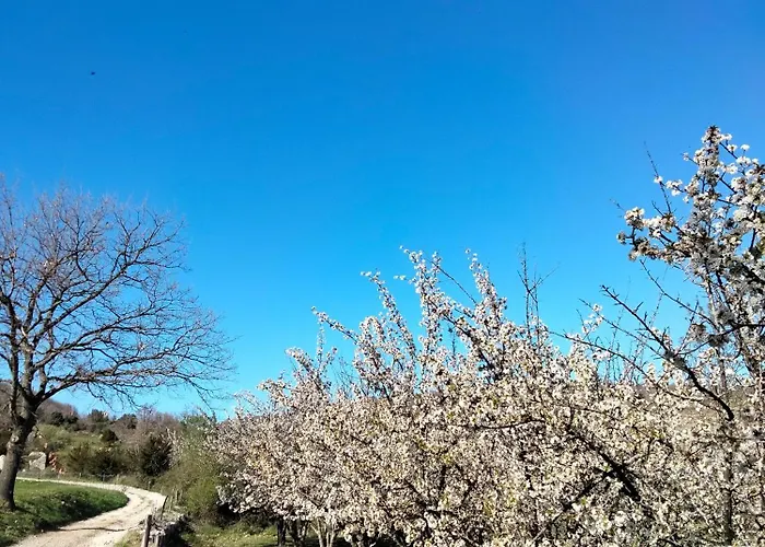 Гостевой дом La Grange De Sabatas 3*