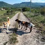 La Grange De Sabatas Guest house Chomerac