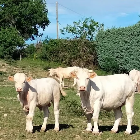 La Grange De Sabatas Chomerac