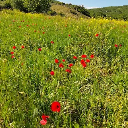 La Grange De Sabatas